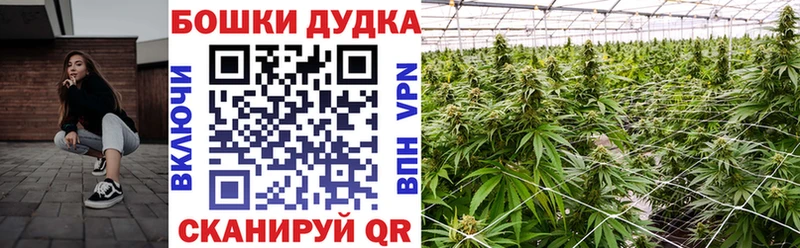 Названия наркотиков Сосенский A PVP ГАШ Амфетамин КОКАИН