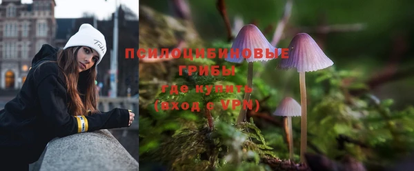 мяу мяу мука Алексеевка