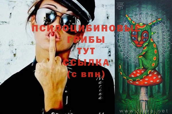 мяу мяу мука Алексин