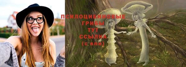 мяу мяу мука Алексин