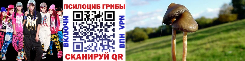 Галлюциногенные грибы мухоморы Сосенский