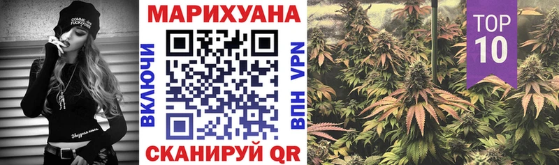 Конопля конопля Сосенский